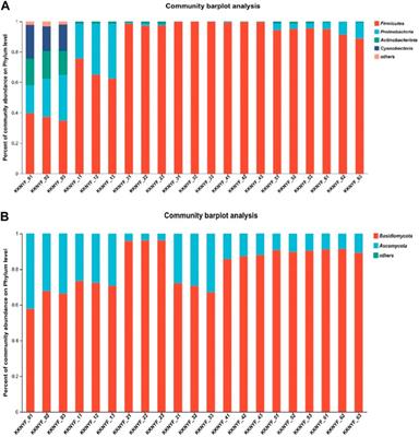 Effects of adding cocoa fermentation medium on cigar leaves in agricultural fermentation stage